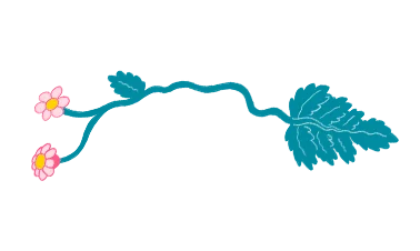 Mutterkraut migräneprophylaxe